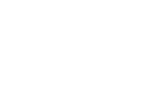 MINeuro